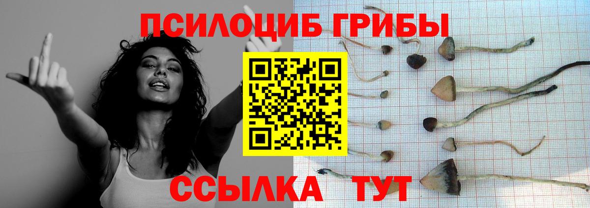 Псилоцибиновые грибы GOLDEN TEACHER  Галлюциногенные грибы Magic Shrooms  Вход с VPN  Малоярославец 